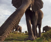 偷拍美女的私密生活照片,揭秘偷拍美女私密生活照片事件